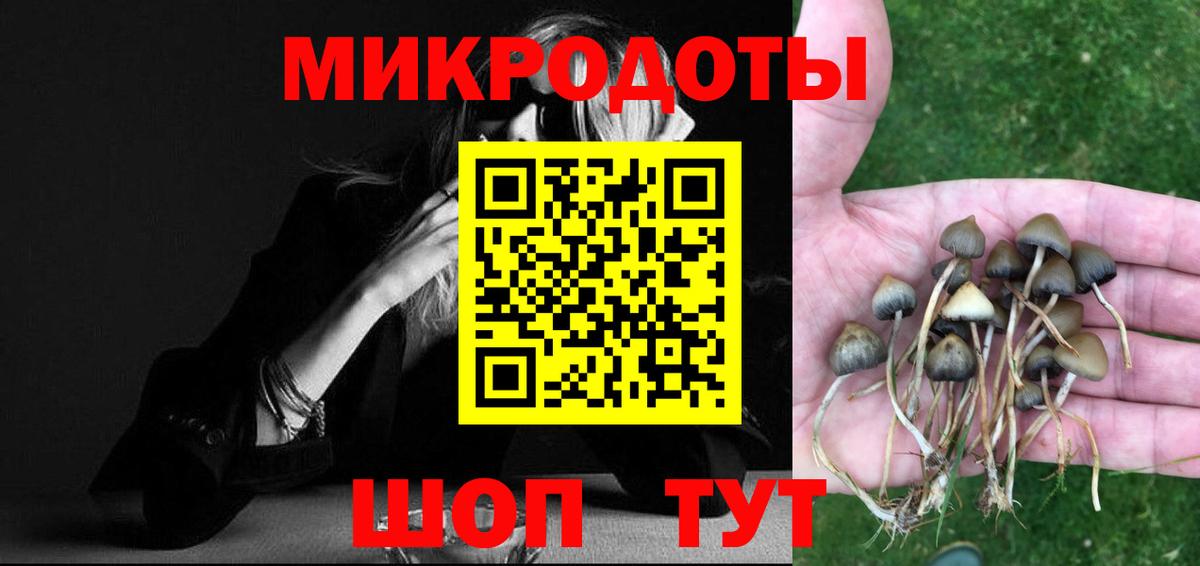 A-PVP Саратов